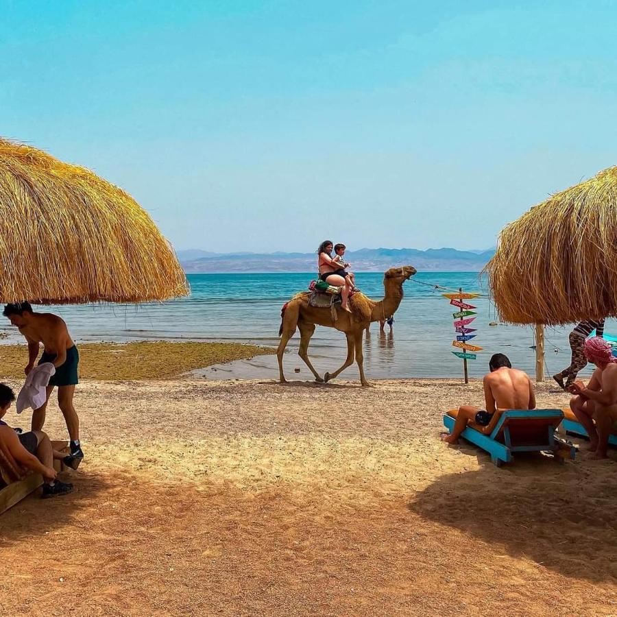 מלון נואייבה Sea Horse מראה חיצוני תמונה